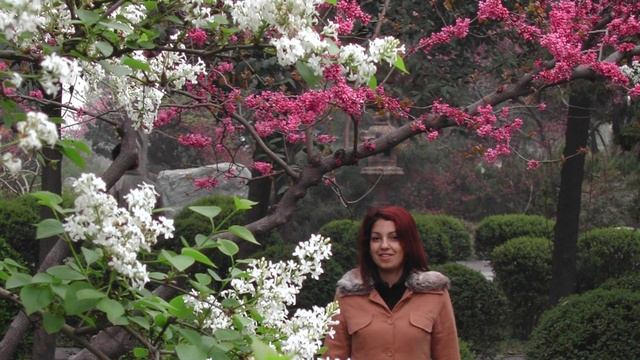 My Trip to China - LexiYoga смотреть онлайн