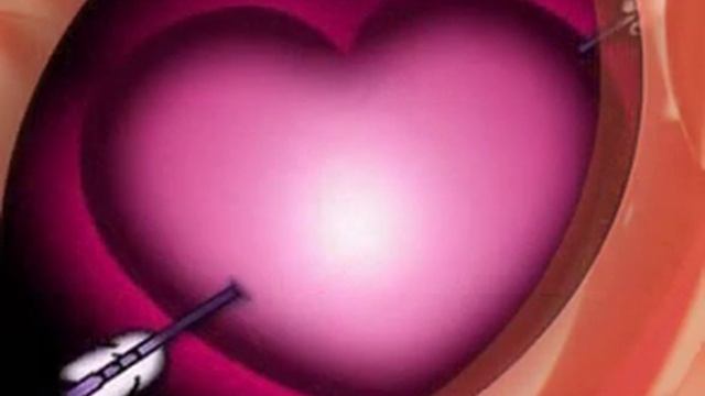cece lili et mon ti chéri смотреть онлайн