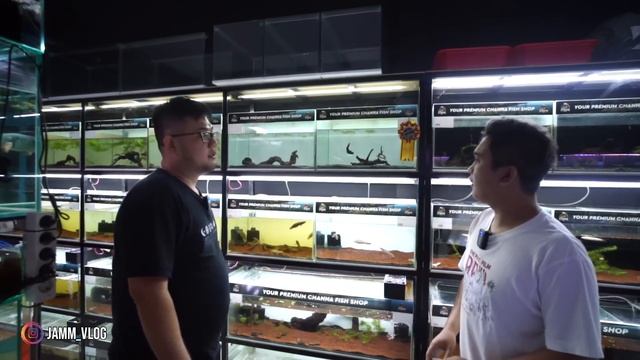 NIAT BANGET!!! GAK NYANGKA ADA HOBBIES KOLEKSI CHANNA BARCA & CHANNA UNIK SEBANYAK INI!!! смотреть онлайн