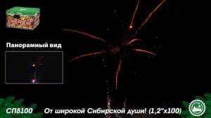 СП8100