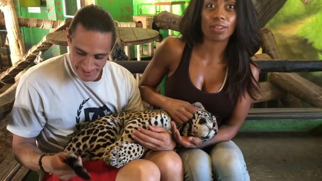 Baby Jaguar смотреть онлайн