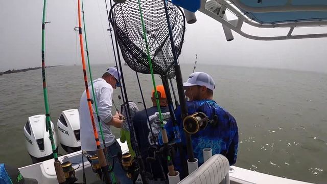 How to Catch MASSIVE Fish w/ Kid's! (Galveston Jetty's) смотреть онлайн