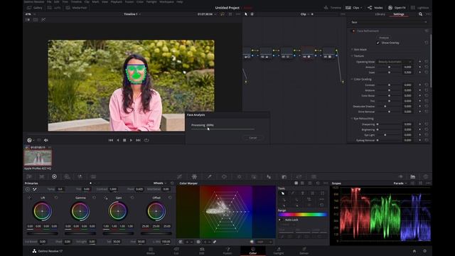 How to Colour Grade ARRI in DaVinci 17 - Lady TV Tutorial смотреть онлайн