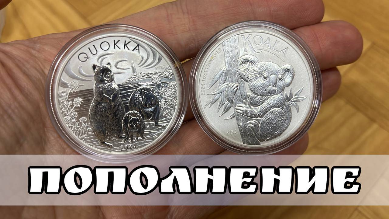 1 доллар 2024 Австралии, Квокка (Quokka), 5-я монета в серии. Серебро. Коала 2024 Перт смотреть онлайн