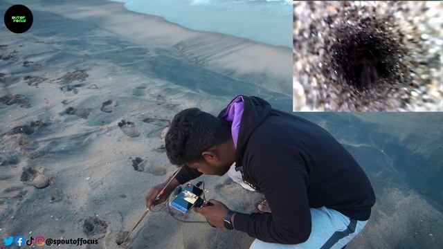 Entering Endoscopic🎥Camera Into Snake🐍House🤯Shocking Result 🤔OutofFocus смотреть онлайн