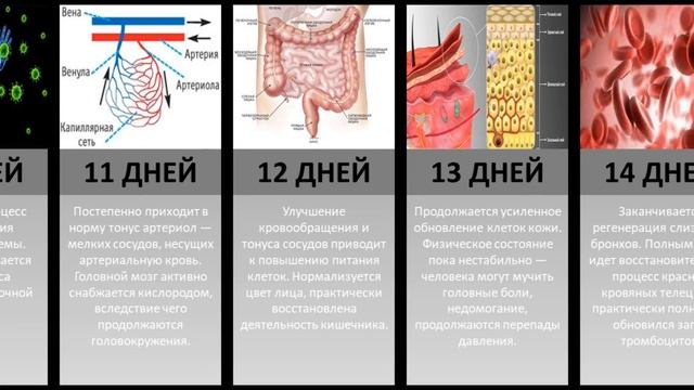 Здоровье и правильное дыхание