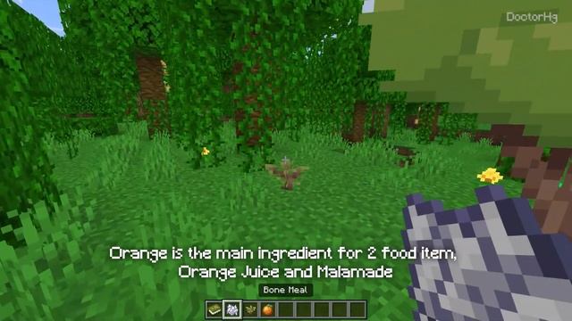 Enhance Your Minecraft Farming Experience: New Crops, Mobs, and More! | Farming Add-on Showcase смотреть онлайн
