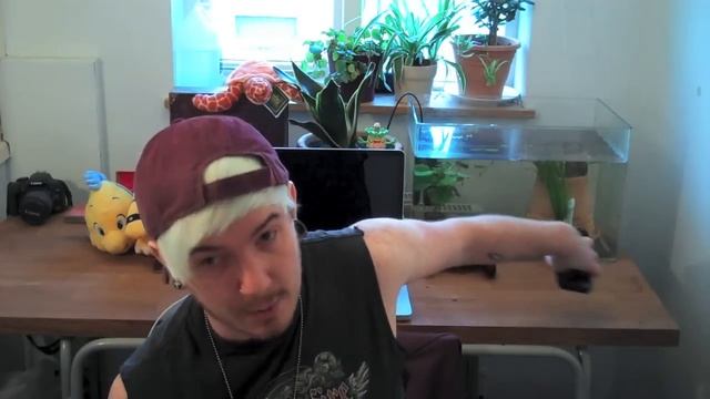 Axolotls, Ni No Kuni, iPhone 5 & New Tattoos! смотреть онлайн