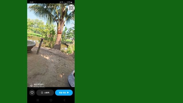 Snapchat 사진을 갤러리에 저장하는 방법 2024 | 갤러리에서 Snapchat 사진 다운로드 смотреть онлайн