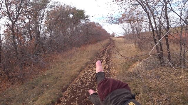 Охота на зайца - Открытие сезона 2024 смотреть онлайн