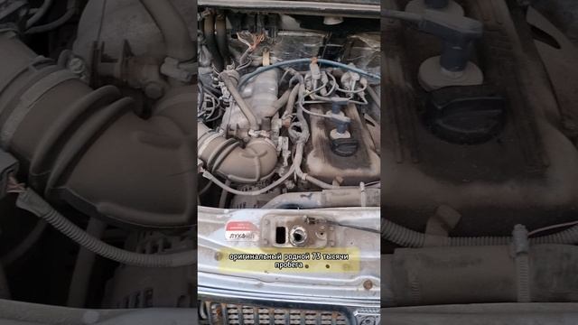 ТАКОЙ БЫВАЕТ РЕДКО ЗМЗ 405 ☎️ +79370738633 Михаил #кириллов #самарскийавторазбор #авторазбор #газель смотреть онлайн