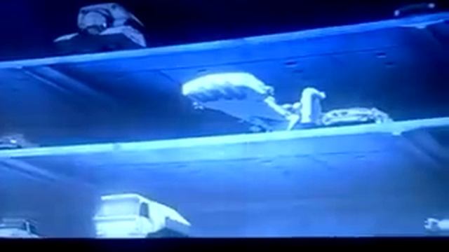 Cowboy bebop anime drive in theater смотреть онлайн