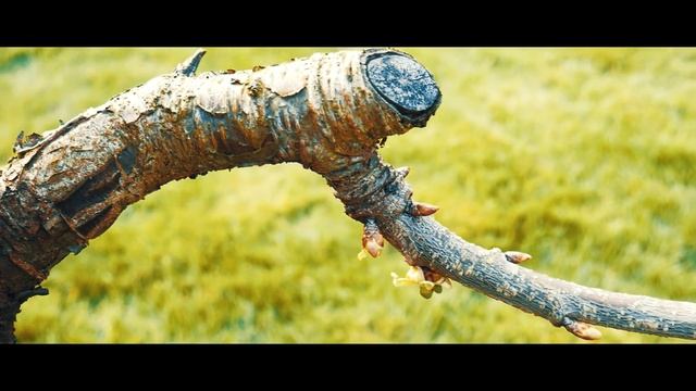 Lost Outside My House | Panasonic G7 смотреть онлайн