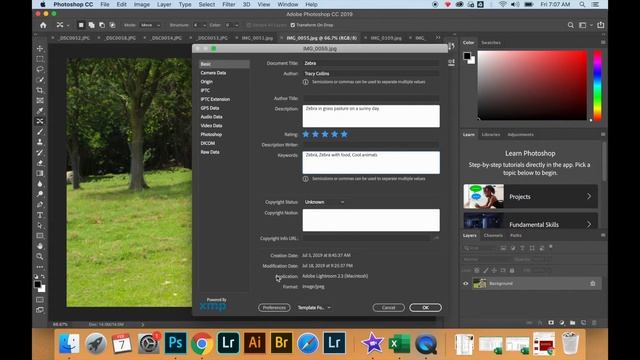 Photoshop Basics: How to in add metadata information смотреть онлайн