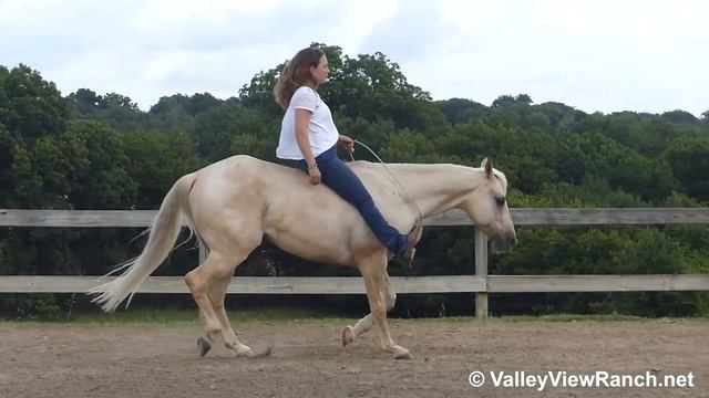 Doc Jac(Dollar) - riding bareback! - ValleyViewRanch.net смотреть онлайн