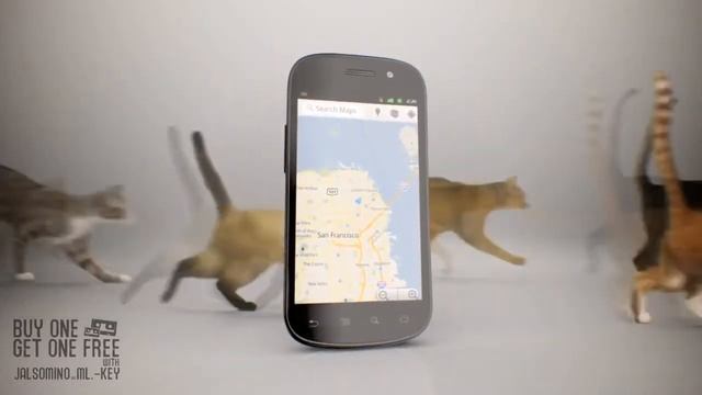 Nexus S™ 4G "Cats" (Russian Joke Translation) смотреть онлайн