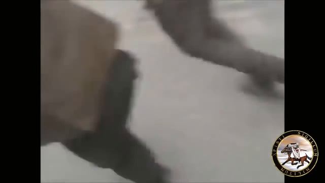 WOMEN MUST WATCH What is Taharrush ? - Graphic, Adult 18 + смотреть онлайн
