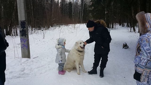 27.02.2016(4) смотреть онлайн