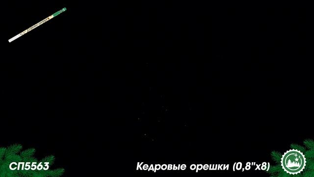 СП5563 смотреть онлайн