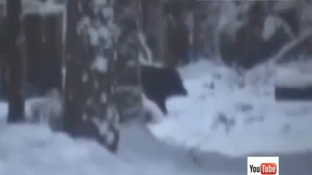 Основной инстинкт смотреть онлайн