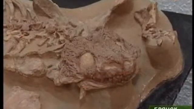 В Брянске наступила «Эра динозавров» смотреть онлайн