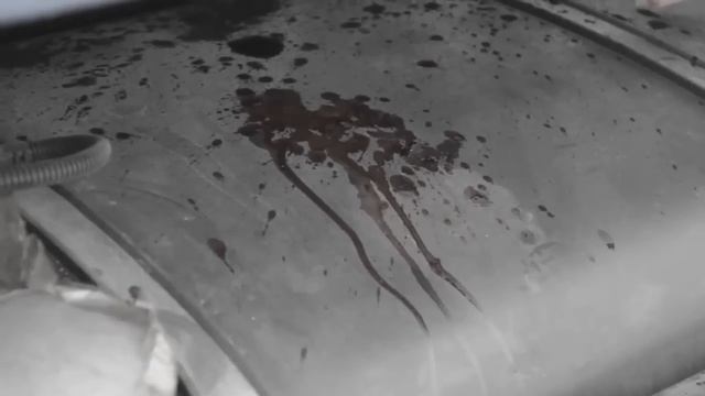 Drago - казак Бабай