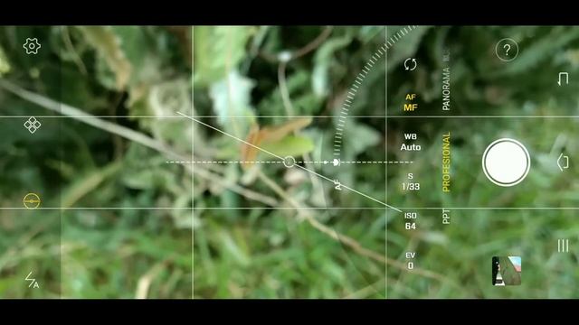 Cara mendapat foto macro terbaik menggunakan android tanpa lensa tambahan смотреть онлайн