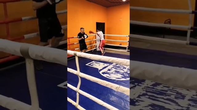 Трешка + Уклон + Трешка + нырок | Серии #ударов на лапах 73 | #Бокс | #Тренировки по боксу смотреть онлайн