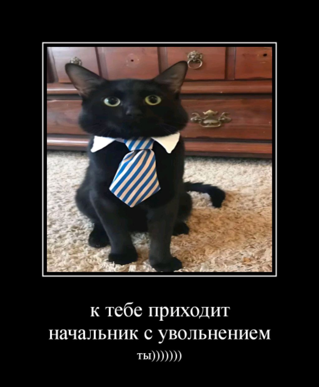 в честь днюхи смотреть онлайн