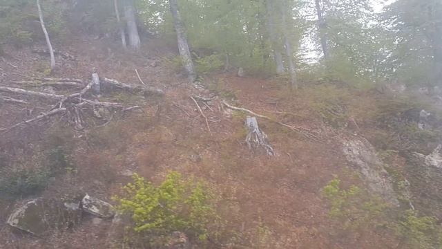 Роза Хутор(21) смотреть онлайн