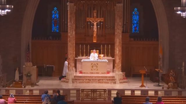 8:00AM CELEBRATION OF THE HOLY MASS July 14, 2023 смотреть онлайн