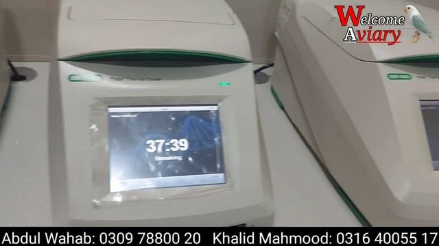 لیب میں پرندوں کا DNA کیسے کیا جاتا ہے l Welcome Aviary visited AVL DNA Lab l Welcome Aviary смотреть онлайн