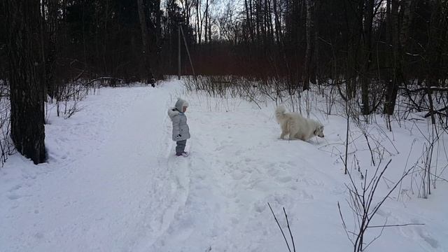 27.02.2016(2) смотреть онлайн