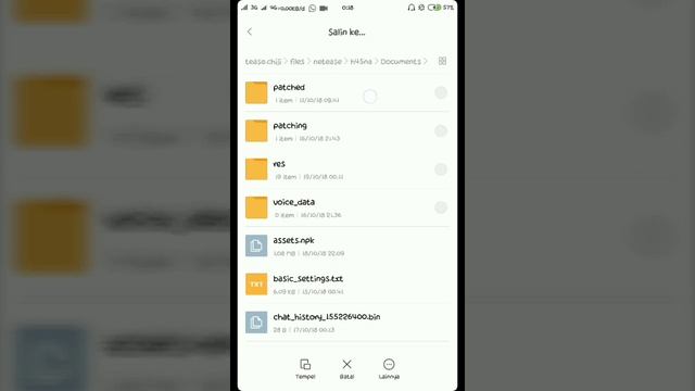 TUTORIAL BAGI PEMULA,PASANG XRAY(RUMAH DLL MNJD TRANSPARAN)MODEL.NPK HACK смотреть онлайн