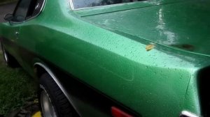 Красота по-американски