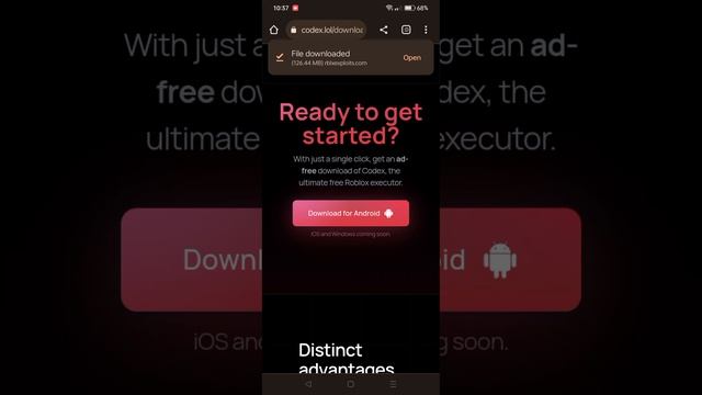 How To Install Codex