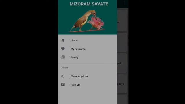 Mizoram Savate Android Application смотреть онлайн
