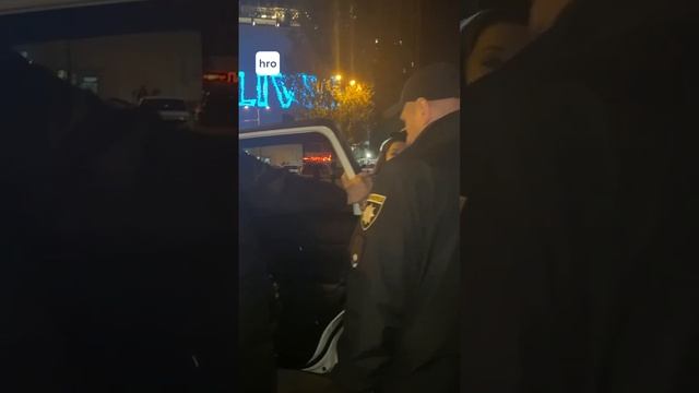 Овцы пытаются отбить своего у свиней из тцк смотреть онлайн