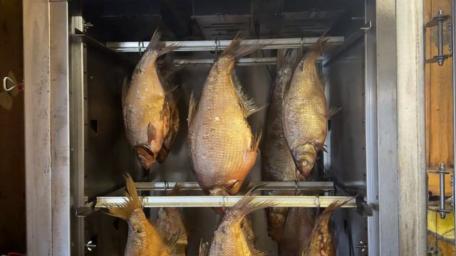 Лещ холодного копчения. Настоящий мужской деликатес. смотреть онлайн