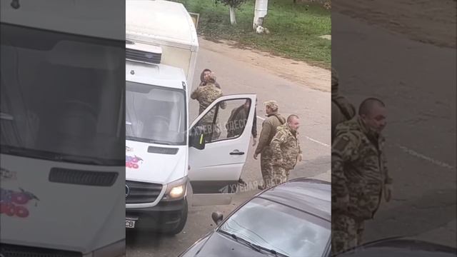 Бусификация свиньями из тцк овцы с коментариями смотреть онлайн