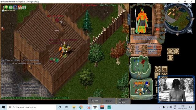 Ultima Online - PVP - SlayerS vs Evil Mind -uowod смотреть онлайн