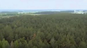 ВИА Песняры - Березовый сок