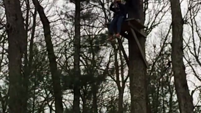 Camp Pinewood Zip Line смотреть онлайн
