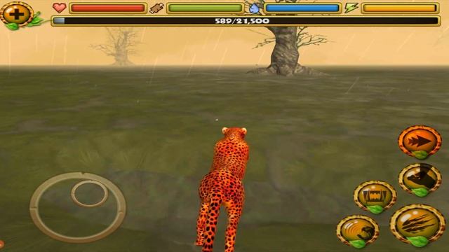 Cheetah VS Lion, Hyena, Elephant, Camel, Hippo, Rhino, Crocodile, Giraffe, Gazelle смотреть онлайн