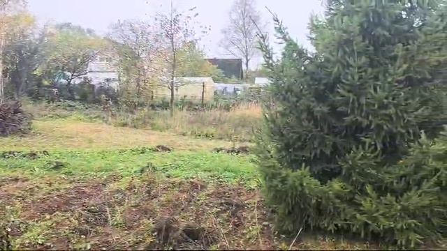 зу :1731 д. Загорье смотреть онлайн