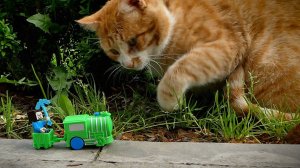 Котик против паровозика /  Видео про поезда игрушки и котиков