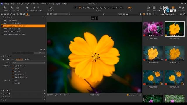 [케이피유어스] 캡쳐원 사용팁 - 메타데이터 한 번에 추출하기 смотреть онлайн
