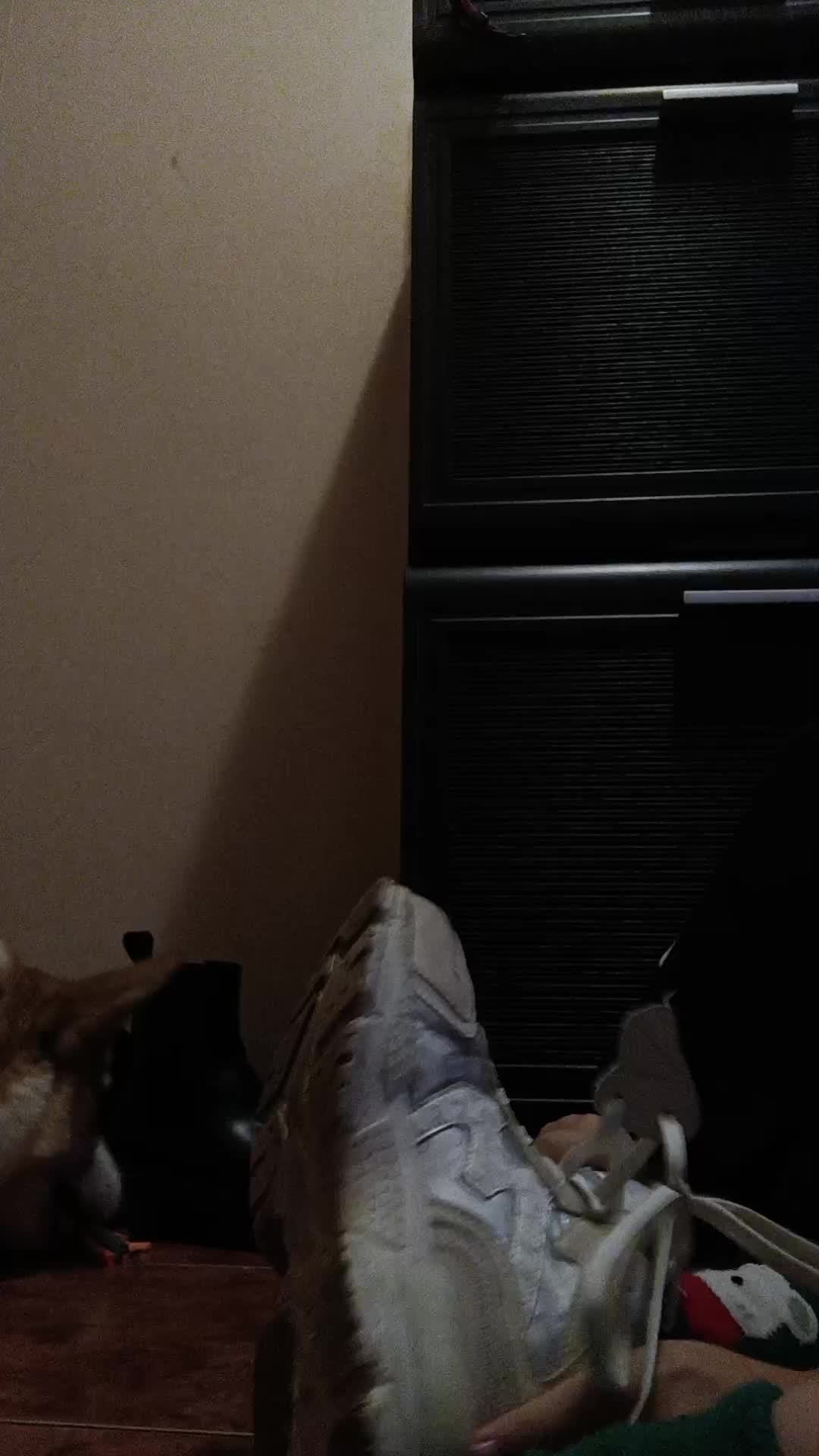 я смотреть онлайн