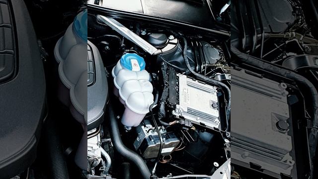 CLEANEST engine bay | oddly satisfying | AUDI 2.0 TFSI смотреть онлайн