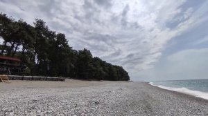 Пляжи Пицунды. Кипарисовая аллея Тоже заборы . ОПК Пицунда. Абхазия 2024.